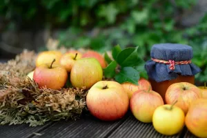 Exposition de fruits de nos vergers