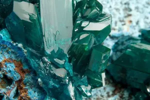 Les jeudis au musée