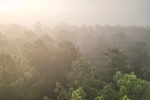 Rencontre et sensibilisation avec la DFCI