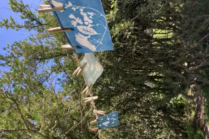 LES ATELIERS DE LA CABANE : DÉCOUVERTE DU CYANOTYPE
