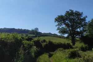 Le sentier de la Maison des Hommes et des Paysages