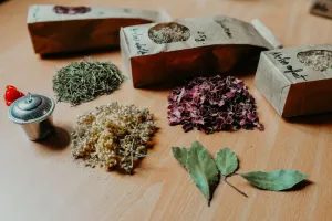 Atelier nature (ados et adultes) : l'univers des plantes