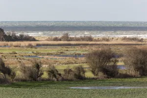 Les trésors du marais de Ver-sur-Mer/ Meuvaines