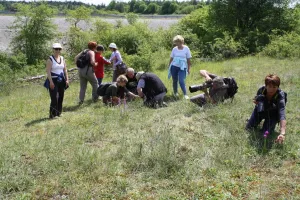 D'une voie ferrée à un corridor naturel