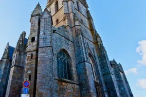 Visites commentées par l'Association du patrimoine de Notre-Dame-de-Pitié