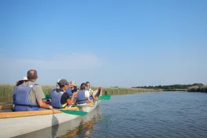 Visite guidée de la réserve ornithologique à pied et de son delta en canoë collectif