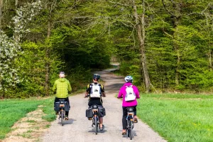 Balade à vélo