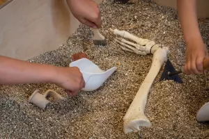 Visite de l'&cclesia et atelier de fouille archéologique