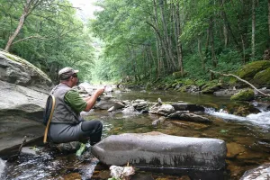 INITIATION PÊCHE AU COUP EN RIVIÈRE