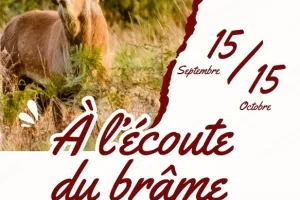 A l'écoute du brame avec la Maison du Cerf