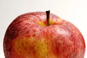 Atelier « Ma pomme »