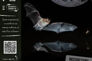 Nuit de la Chauve-Souris