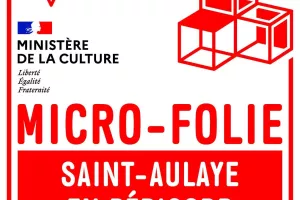 Atelier d'Arts Plastiques au Microfolie de Saint-Aulaye