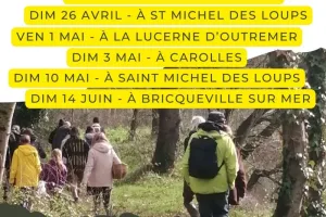 Observations phoques et oiseaux