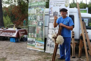 Dans le pin tout est bon : découverte du gemmage