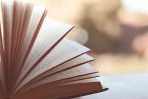 Vide grenier - Salon du livre