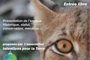 Conférence LYNX