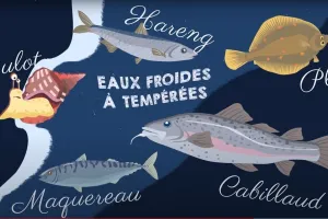 P'tite visite sur les poissons