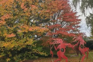Visite du jardin habité de St Georges