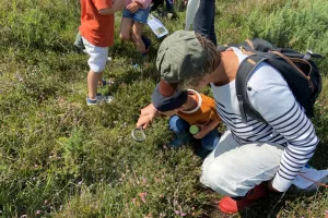 Sortie nature : Au pays des plantes carnivores
