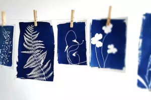 La technique du cyanotype