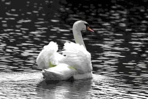 Exposition au vrac café