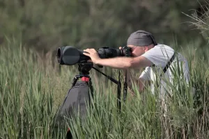 Stage photographique