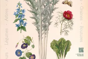 Troc plantes de la Bidouill'rie