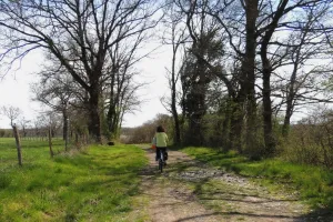 Journée du patrimoine: découverte du patrimoine naturel "étang des Landes"