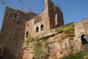 Fête de l'écotourisme : Visite du château de la Wasenbourg