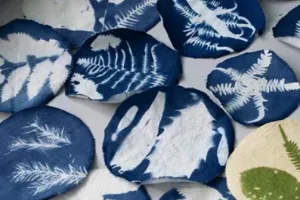 Atelier découverte du cyanotype avec la plasticienne Apolline Pliez