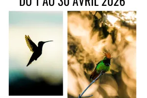 Exposition : Photos animalières