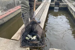 La Pisciculture Retaud