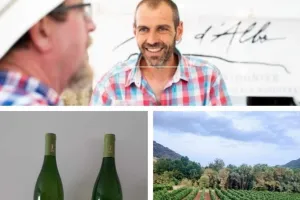 BALADE DES SAVEURS– IMMERSION AU CŒUR DU VIGNOBLE