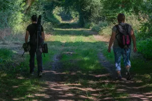 Visite crépusculaire du bocage