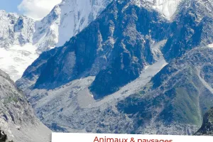 Exposition de photographies, par Emilie Chatrian