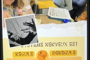 Atelier système nerveux