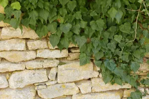 Découverte des tourbières