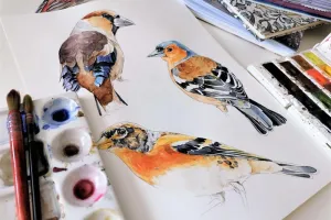 L'art au cœur du sauvage