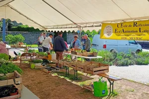 Vente de plants