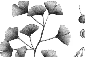 Atelier d'illustrations scientifiques (à partir de 6 ans)