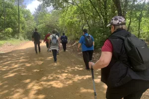 Découverte Marche Sport Santé