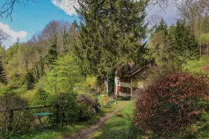 Jardin en Fêtes