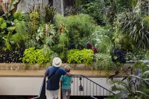 La ville est un jardin - Visite guidée