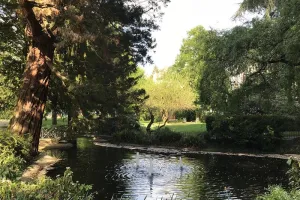 Visite guidée : Voyage dans la ville allemande