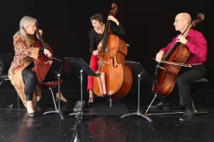 15e Festival Cordes & Cies, Cordissime, La Souterraine