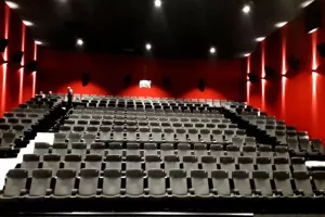 Ciné Partage "Cocorico 2"