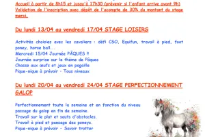 STAGE PERFECTIONNEMENT GALOP
