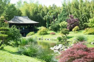 Découvrez la faune exotique