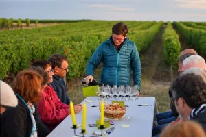 Dans les vignes au crépuscule